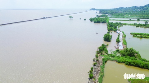 Có kè chắn sóng nhưng đất ven biển Kiên Giang vẫn bị xói mòn, sạt lở- Ảnh 2. Một góc nhìn trên cao dọc theo tuyến kè chắn sóng ở xã Thổ Sơn. Đoạn nào còn cây xanh thì đê bao nuôi tôm, cua của người dân ít bị sóng biển gây xói mòn - Ảnh: CHÍ CÔNG