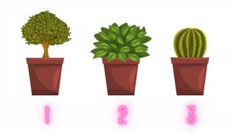 Quiz: Lựa chọn tiết lộ điểm mạnh lớn nhất của bạn- Ảnh 1. Quiz: Lựa chọn tiết lộ điểm mạnh lớn nhất của bạn- Ảnh 1.