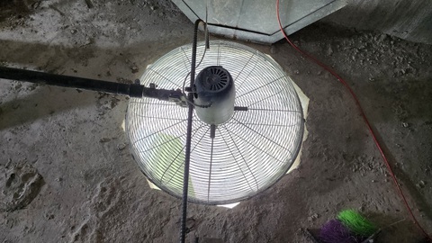 Công nhân vã mồ hôi trong hộp dầm để sửa chữa cầu Trà Khúc 2- Ảnh 5. Công nhân vã mồ hôi trong hộp dầm để sửa chữa cầu Trà Khúc 2- Ảnh 5.