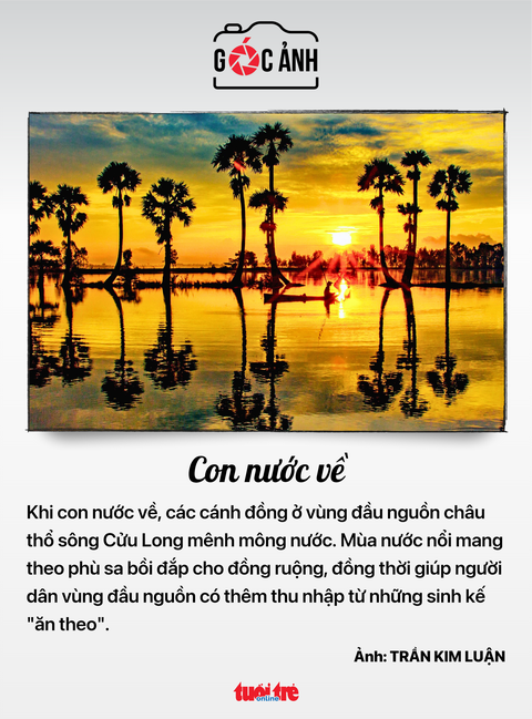 Tin tức sáng 29-7: Giá giống sầu riêng tăng gấp đôi; Sốt xuất huyết tại Hà Nội, TP.HCM tăng- Ảnh 8. Tin tức sáng 29-7: Giá giống sầu riêng tăng gấp đôi; Sốt xuất huyết tại Hà Nội, TP.HCM tăng- Ảnh 8.