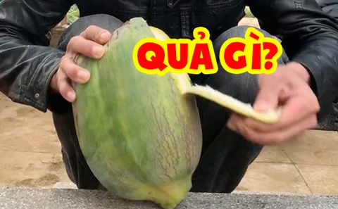 Quả gì bỏ sắc cháy khét, xua tay đuổi mùi?- Ảnh 3. Quả gì bỏ sắc cháy khét, xua tay đuổi mùi?- Ảnh 3.