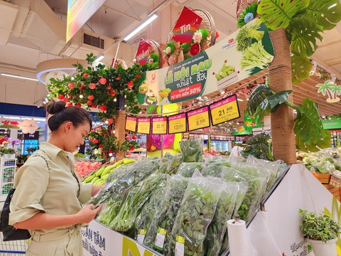 Lần đầu tiên Co.opmart, Co.opXtra... mở 'Lễ hội rau nhiệt đới' áp dụng giảm giá đến 50%- Ảnh 3. Các mặt hàng rau xanh nhiệt đới giảm giá từ 15 - 50%