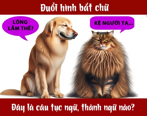 IQ cao có đoán được đây là câu tục ngữ, thành ngữ gì? (P106)- Ảnh 1. IQ cao có đoán được đây là câu tục ngữ, thành ngữ gì? (P106)- Ảnh 1.