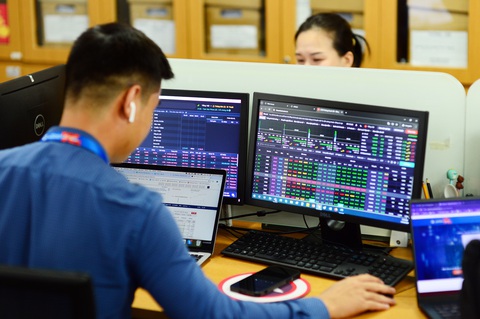 Lo an toàn ở công ty chứng khoán- Ảnh 1. Không gian làm việc của một công ty chứng khoán ở TP.HCM - Ảnh: QUANG ĐỊNH