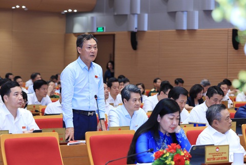 Vì sao gần 1 năm sau Hà Nội vẫn chưa trả lời về dự án Ciputra?- Ảnh 2. Ông Lê Anh Quân - giám đốc Sở Kế hoạch và Đầu tư Hà Nội - Ảnh: HĐND TP Hà Nội