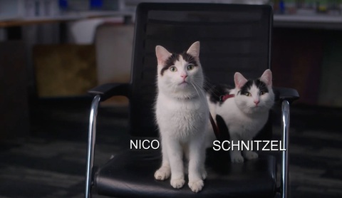 Chân dung hai ngôi sao Schnitzel và Nico của phim Vùng đất câm lặng: Ngày một Chân dung hai ngôi sao Schnitzel và Nico của phim Vùng đất câm lặng: Ngày một - Ảnh: X