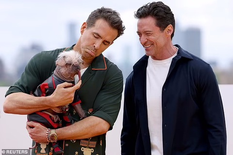 Dogpool, chú chó xấu xí trong Deadpool & Wolverine- Ảnh 2. Peggy tham gia quảng bá Deadpool & Wolverine cùng bộ đôi Ryan Renolds và Hugh Jackman - Ảnh: Reuters