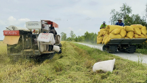 Kinh nghiệm quốc tế trong phát triển nông nghiệp xanh- Ảnh 1. Ứng dụng công nghệ là một trong những yếu tố then chốt để phát triển nông nghiệp xanh - Ảnh: ĐẶNG TUYẾT