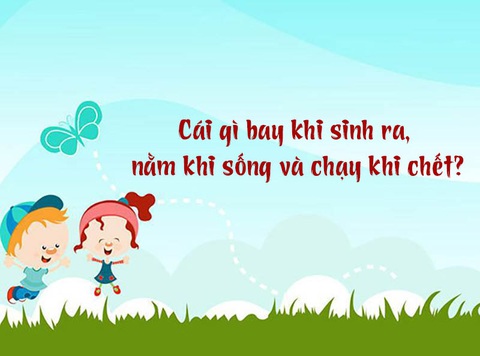 Cái gì bay khi sinh ra, nằm khi sống và chạy khi chết?- Ảnh 1. Cái gì bay khi sinh ra, nằm khi sống và chạy khi chết?- Ảnh 1.