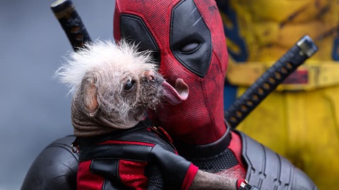 Dogpool, chú chó xấu xí trong Deadpool & Wolverine- Ảnh 1. Dogpool quấn quýt cùng Deadpool trong phim - Ảnh: Marvel