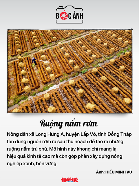 Tin tức sáng 31-7: Cùng đóng bảo hiểm 15 năm, nữ hưởng lương hưu 45%, nam chỉ 40%- Ảnh 9. Tin tức sáng 31-7: Cùng đóng bảo hiểm 15 năm, nữ hưởng lương hưu 45%, nam chỉ 40%- Ảnh 9.
