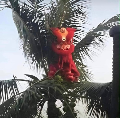 Ảnh vui 30-7: Gia Cát Lượng 'lên dây cót' trước khi đánh Tào Tháo- Ảnh 4. Leo lên kiểu gì giờ sao xuống?