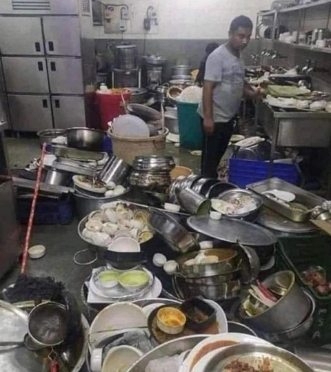 Ảnh vui 31-7: Đừng thấy hoa nở mà ngỡ xuân về- Ảnh 2. Ảnh vui 31-7: Đừng thấy hoa nở mà ngỡ xuân về- Ảnh 2.
