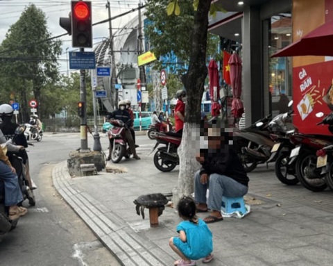 Thấy bán rùa quý, tính mua thả về tự nhiên nhưng sợ phạm tội- Ảnh 1. Con rùa được bán công khai trên đường Phan Bội Châu, thành phố Quảng Ngãi - Ảnh: NHẬT LINH