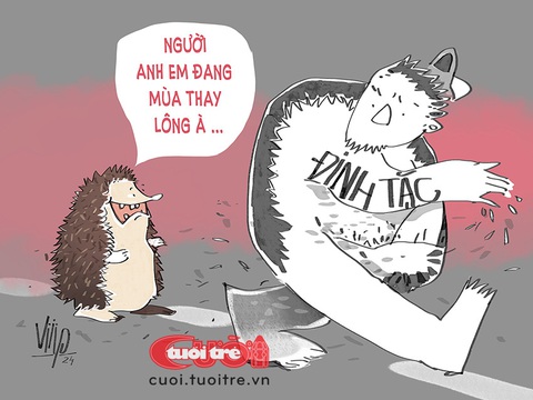 Đinh tặc... thay lông?- Ảnh 1. Đinh tặc cũng... thay lông? - Tranh: Viiip