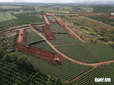 Khiếu nại tăng, Bảo Lộc đề nghị sớm kết luận phân lô xẻ nền- Ảnh 1. Nhiều đồi chè ở TP Bảo Lộc bị phân lô theo hình thức hiến đất mở đường để hình thành các dự án bất động sản sai phép trong giai đoạn 2018-2021 - Ảnh: M.V.