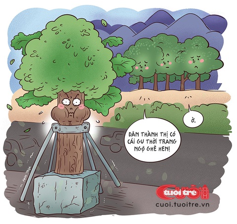 Thời trang 'bóp chân thắt cổ' của cây xanh đô thị- Ảnh 1. Thời trang 'bóp chân thắt cổ' của cây xanh đô thị - Tranh: Anh Trọc Comics
