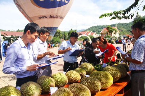 Lễ hội trái cây Khánh Sơn sự kiến sẽ thu hút hàng chục ngàn khách du lịch - Ảnh: MINH CHIẾN Lễ hội trái cây Khánh Sơn dự kiến sẽ thu hút hàng chục ngàn khách du lịch - Ảnh: MINH CHIẾN