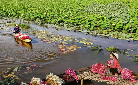Làm sao để du lịch Long An không bị lãng quên dù nằm kề TP.HCM?- Ảnh 1. Long An có nhiều tiềm năng để phát triển du lịch nông thôn nhưng đang bị lãng quên dù liền kề TP.HCM - Ảnh: CÔNG TOẠI