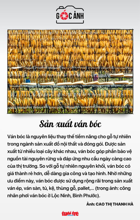 Tin tức sáng 6-7: Phạt một công ty chứng khoán vì 'ém' thông tin trái phiếu- Ảnh 6. Tin tức sáng 6-7: Phạt một công ty chứng khoán vì 'ém' thông tin trái phiếu- Ảnh 6.