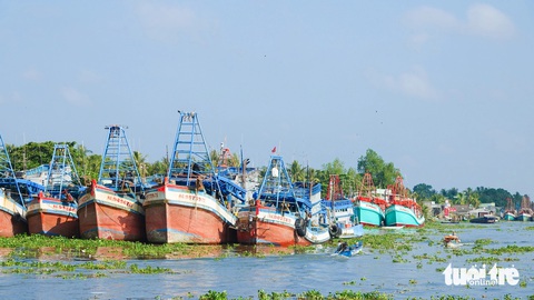 Kiên Giang có khoảng 5.311 tàu cá được cập nhật số liệu, định danh- Ảnh 1. Tàu cá neo đậu dày đặc hai bên sông Cái Bé (huyện Châu Thành, Kiên Giang) - Ảnh: CHÍ CÔNG