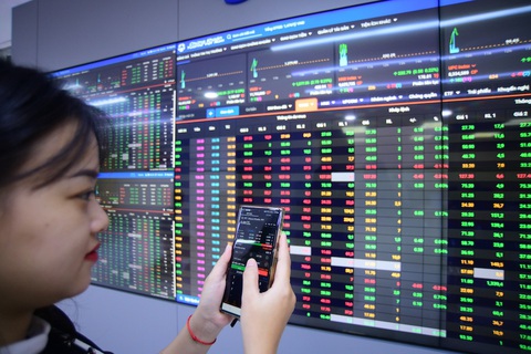 Thị phần môi giới chứng khoán: VPS 'đuối' hơn, bất ngờ công ty bà Nguyễn Thanh Phượng- Ảnh 1. Bảng xếp hạng thị phần môi giới chứng khoán quý 2-2024 có nhiều diễn biến đáng chú ý - Ảnh: QUANG ĐỊNH