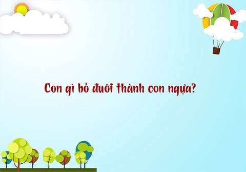 Cái gì có cổ nhưng không có đầu?- Ảnh 3. Cái gì có cổ nhưng không có đầu?- Ảnh 3.