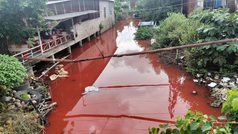 Nước kênh ở Cà Mau bất ngờ chuyển sang màu đỏ- Ảnh 1. Đoạn kênh dài hàng trăm mét chuyển sang màu đỏ bất thường làm người dân hoang mang - Ảnh: THANH HUYỀN