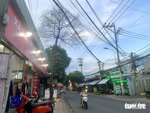 Cây xanh trên đường Dương Đình Hội: Nơi chết khô, nơi cành lá trơ trụi- Ảnh 2. Một cây chết khô, trụi lá trên đường Dương Đình Hội