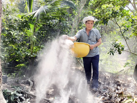 Ông Lê Văn Mãnh (ngụ huyện Chợ Lách, tỉnh Bến Tre) tranh thủ rải những bao vôi, bao lân cho vườn sầu riêng của mình, chuẩn bị cho một vụ mới - Ảnh: MẬU TRƯỜNG Ông Lê Văn Mãnh (ngụ huyện Chợ Lách, tỉnh Bến Tre) tranh thủ rải những bao vôi, bao lân cho vườn sầu riêng của mình, chuẩn bị cho một vụ mới - Ảnh: MẬU TRƯỜNG