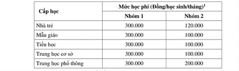 TP.HCM đề xuất giảm học phí năm học mới, THCS giảm 5 lần- Ảnh 3. Mức học phí của năm học 2023-2024 ở TP.HCM