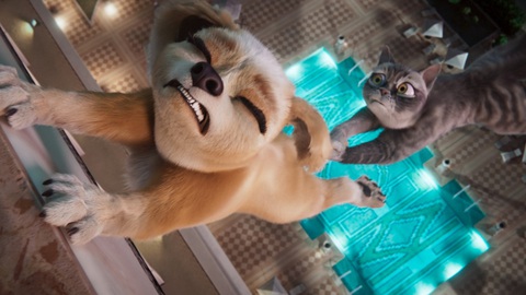 Hoạt hình khi chó và mèo hợp tác thực hiện 'nhiệm vụ bất khả thi'- Ảnh 2. Gracie and Pedro: Mission Impossible bắt đầu được giới thiệu từ tháng 5, bao gồm một buổi chiếu đặc biệt để gây quỹ cho trại cứu hộ động vật tại địa phương.