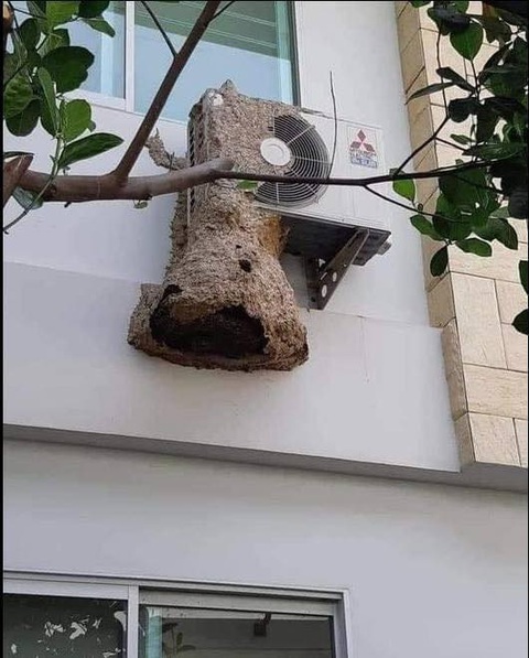 Ảnh vui 9-7: 'Để con trang trí cho bố mẹ thêm đẹp nha'- Ảnh 6. Đố ông nào dám vệ sinh máy lạnh?!