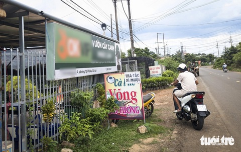 Quảng cáo cờ bạc 'tấn công' hàng quán phố núi Pleiku- Ảnh 4. Bảng hiệu kích thước lớn của vườn cây cảnh tại phường Ia Kring, TP Pleiku, do người lạ