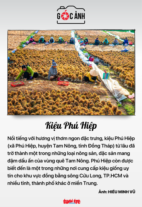 Tin tức sáng 10-7: Họp Ủy ban Thường vụ Quốc hội; Đại gia bất động sản tăng vay nợ ngân hàng- Ảnh 8. Tin tức sáng 10-7: Họp Ủy ban Thường vụ Quốc hội; Đại gia bất động sản tăng vay nợ ngân hàng- Ảnh 8.