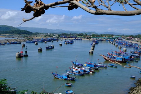 Phối hợp 'tệ', chậm nạo vét luồng lạch, giám đốc sở ở Quảng Ngãi bị phê bình- Ảnh 2. Cảng Mỹ Á, nơi ngư dân ra vào đánh bắt mỗi ngày rất đông - Ảnh: TRẦN MAI