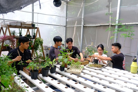 Sinh viên khởi nghiệp với dòng tranh sinh học- Ảnh 2. Tranh sinh học của nhóm được làm từ tre, gỗ tái chế, cây kiểng, rau, hoa và dược liệu,... - Ảnh: NGỌC PHƯỢNG