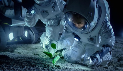 Ảnh minh họa: scitechdaily.com Nhiệt độ trên Mặt trăng thích hợp cho việc lưu trữ giống của các loài - Ảnh minh họa: scitechdaily.com