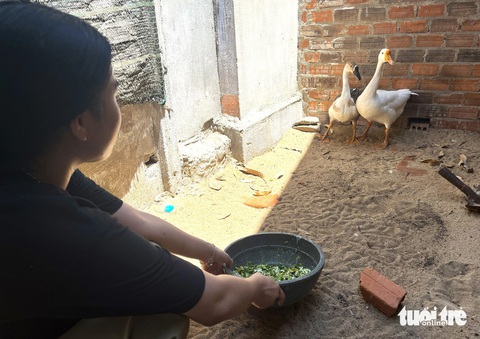Không cha mẹ, cô bé nữ sinh thành 'cây cao bóng cả' của em mình - Ảnh 4. Không cha mẹ, cô bé nữ sinh thành 'cây cao bóng cả' của em mình - Ảnh 4.