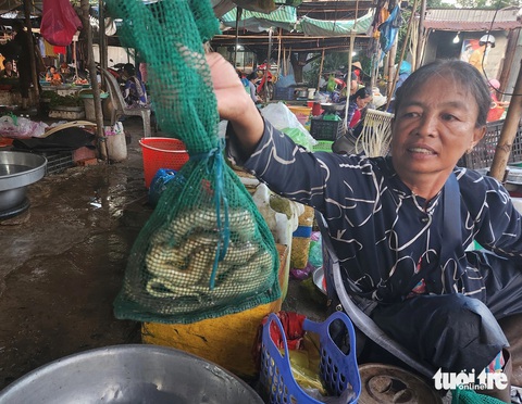 Mực nước đầu nguồn Đồng bằng sông Cửu Long tăng nhẹ, sản vật mùa nước nổi bắt đầu về chợ- Ảnh 4. Một tiểu thương giới thiệu cho chúng tôi 3 con rắn nước (rắn đồng) mới bắt được, với giá 80.000 đồng/kg - Ảnh: BỬU ĐẤU