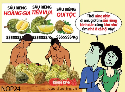 Vui buồn mùa sầu riêng- Ảnh 3. Sầu riêng bình dân cũng giống như nhà ở xã hội vậy đó - Tranh biếm họa của NOP