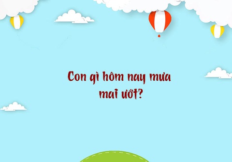 Con gì hôm nay mưa mai ướt?- Ảnh 1. Con gì hôm nay mưa mai ướt?- Ảnh 1.