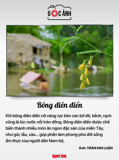 Tin tức sáng 12-8: Ủy ban Thường vụ Quốc hội cho ý kiến về 10 dự luật- Ảnh 7. Tin tức sáng 12-8: Ủy ban Thường vụ Quốc hội cho ý kiến về 10 dự luật- Ảnh 7.