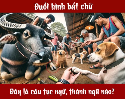 Câu tục ngữ, thành ngữ 'khó nhằn' này là gì? (P63)- Ảnh 1. Câu tục ngữ, thành ngữ 'khó nhằn' này là gì? (P63)- Ảnh 1.
