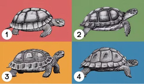 Quiz: Khám phá mức độ kiên nhẫn của bạn- Ảnh 1. Quiz: Khám phá mức độ kiên nhẫn của bạn- Ảnh 1.