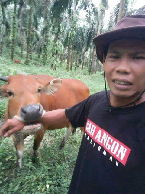 Ảnh vui 12-8: 'Tại sao anh nhập viện?'- Ảnh 1. Thực ra là con bò cạp chứ không phải con bò cạp