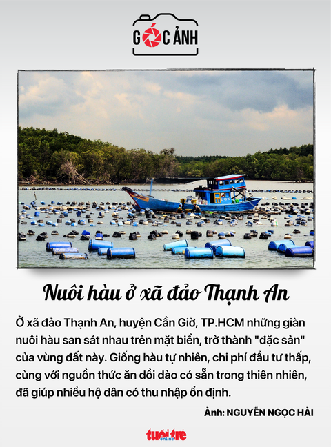 Tin tức sáng 13-8: 11.220 người tham gia diễu binh, diễu hành kỷ niệm 50 năm thống nhất đất nước- Ảnh 5. Tin tức sáng 13-8: 11.220 người tham gia diễu binh, diễu hành kỷ niệm 50 năm thống nhất đất nước- Ảnh 5.