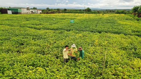 Vinasoy vào Top 50 doanh nghiệp phát triển bền vững lần thứ hai liên tiếp- Ảnh 2. Vinasoy vào Top 50 doanh nghiệp phát triển bền vững lần thứ hai liên tiếp- Ảnh 2.