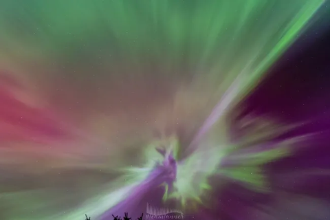 The northern lights dance over Bashaw, Alberta in Canada on Aug. 11, 2024 in this amazing photo by skywatcher Darlene Tanner. (Image credit: Darlene Tanner) Bắc cực quang trên bầu trời Bashaw, Alberta, Canada vào ngày 11-8-2024 - Ảnh: Darlene Tanner/Space