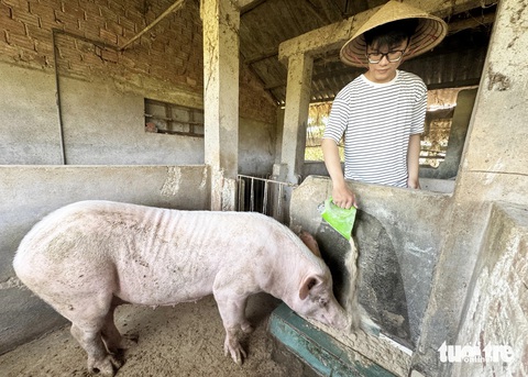 Tiếp sức đến trường: Hai người mẹ quần quật giữa đời, hai HS giỏi tỉnh tiến vào Bách khoa Đà Nẵng- Ảnh 1. Tiếp sức đến trường: Hai người mẹ quần quật giữa đời, hai HS giỏi tỉnh tiến vào Bách khoa Đà Nẵng- Ảnh 1.
